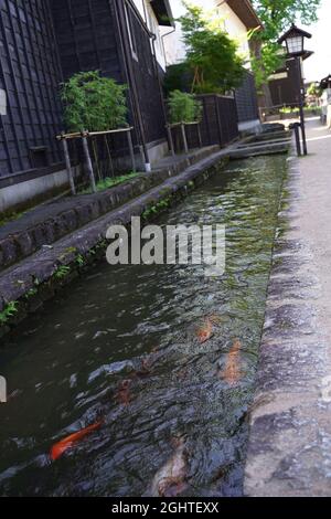 Hida-furukawa, gifu, Giappone Foto Stock
