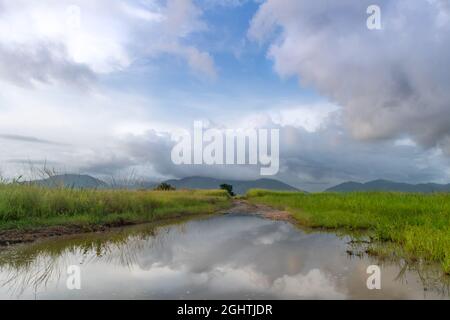 Le nuvole tempestose si riflettevano in una pozzanghera in una strada sterrata che attraversa un campo. Paesaggio tropicale con cielo drammatico. Foto Stock