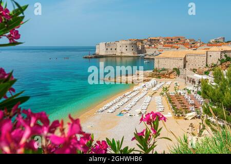 Bella vista della spiaggia di Banje e della città vecchia di Dubrovnik con i fiori estivi in Croazia, Europa. Resort per vacanze estive Foto Stock