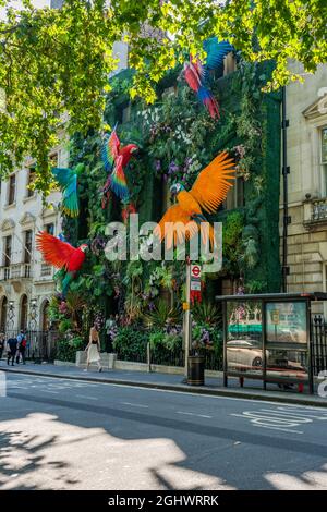 LONDRA - 07 SETTEMBRE 2021: La porta d'ingresso di Annabel, il famoso West End Nightclub situato in Grade i elencato residenza georgiana è decorata con Foto Stock