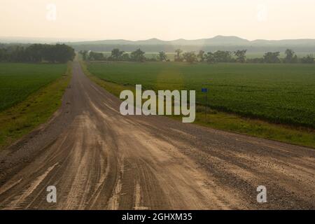 Strada ghiaiosa bagnata che entra nei terreni agricoli con il fumo spesso proveniente dagli incendi selvatici occidentali creando scarsa visibilità e una scena moody. Foto Stock