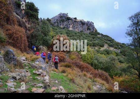Gruppo di escursionisti a piedi in salita su un sentiero nella Sierra di Huetor in autunno Foto Stock