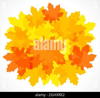 Ciao autunno segno. Concetto di icona creativa. Torna a scuola congrats. Foglie di acero fogliame. Elementi di pianta. Etichetta decorativa concetto. Estratto isolato g Illustrazione Vettoriale