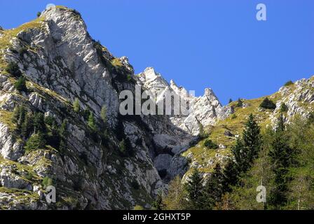 Slovenia, valle di Lepena, Parco Nazionale del Triglav. Foto Stock