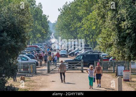 Folle di turisti su Lady Anne's Drive che conduce alla spiaggia di Holkham, Norfolk nord. Foto Stock