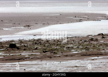 Un'onda secondaria debole del foro di Solway che viaggia lungo un canale laterale vicino a Port Carlisle Foto Stock