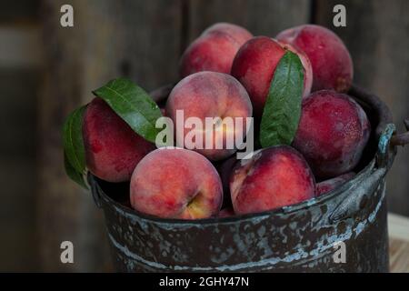 Secchio di pesche fresche mature Foto Stock