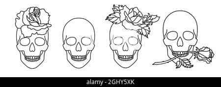 Set di teschi con una rosa in stile artistico di linea. Illustrazione Vettoriale
