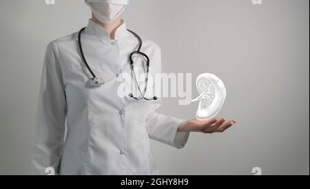 La milza emette il concetto medico. Foto medico femminile, spazio vuoto. Foto Stock