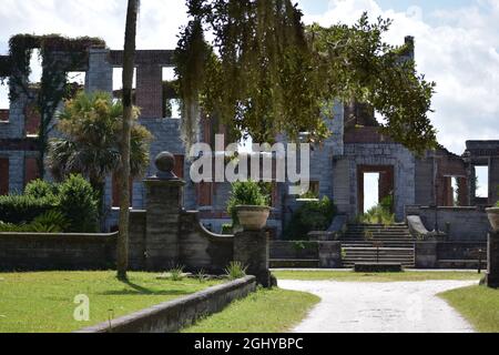 Feral ponies cavalli su Cumberland Island Foto Stock