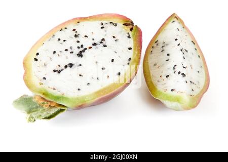 Mela peruviana cactus frutta isolato su sfondo bianco. Nome scientifico Cereus repandus. Foto Stock