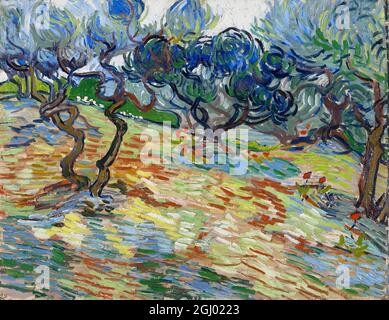 Vincent van Gogh opera dal titolo alberi di ulivo - 1889 Foto Stock