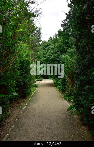 Bolestraszyce arboretum, Polonia un bel posto verde, alberi, arbusti, stagni, fiori in un giorno d'estate agosto. Foto Stock