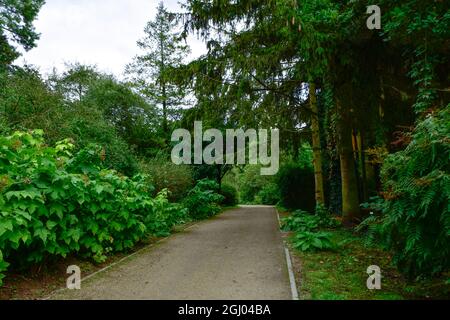 Bolestraszyce arboretum, Polonia un bel posto verde, alberi, arbusti, stagni, fiori in un giorno d'estate agosto. Foto Stock