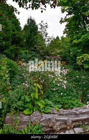 Bolestraszyce arboretum, Polonia un bel posto verde, alberi, arbusti, stagni, fiori in un giorno d'estate agosto. Foto Stock