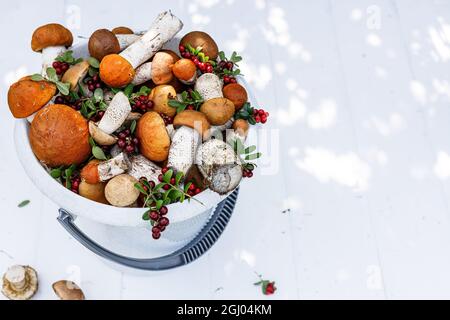 Stagione autunnale di funghi e bacche commestibili della foresta. Cappellino rosso funghi porcini e lingonberry maturo in un secchio su sfondo bianco di legno. Raccogliere Foto Stock