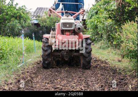 Agricoltore che controlla il trattore a due ruote arando su terreno in piantagione. Agroalimentare preparando terreno coltivato per la semina Foto Stock