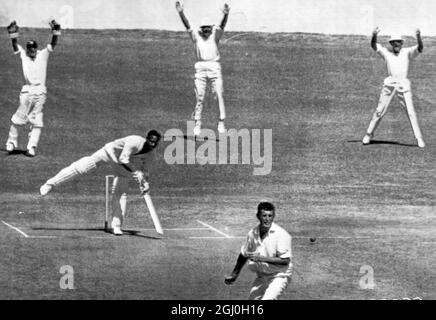 West Indies il capitano Garfield Sobers fuori prima gamba di palla a John Snow durante il terzo giorno in seconda prova partita contro l'Inghilterra a kingston Jamaica mostrando anche Jim Parks, Colin Cowdrey, e Tom Graveney 11 febbraio 1968 Foto Stock