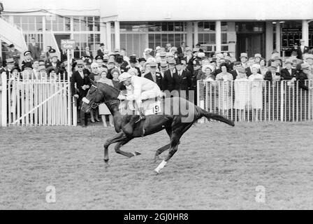 Epsom, Surrey, Inghilterra: L'australiano Jockey George Moore, che ha vinto i vincitori delle 1,000 e 2,000 guineas a Newmarket all'inizio di quest'anno, ha vinto il famoso Epsom Derby Classic di oggi. La duchessa di Gloucester e la Regina Madre) sulla strada per le bancarelle di partenza era stato utilizzato per il Derby. Moore cattura un classico da €61,918 con una distanza di 2 1-2 di lunghezza rispetto al suo avversario più vicino. 7 giugno 1967 Foto Stock