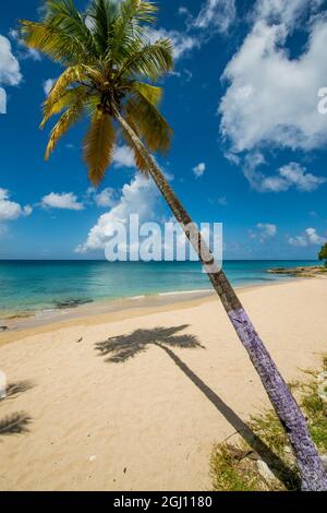 Spratto Spiaggia Hall, St. Croix, Isole Vergini americane. Foto Stock