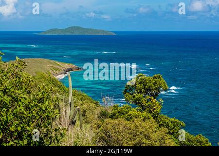 Punto Udall con Buck Island in background, St. Croix, Isole Vergini americane. Foto Stock