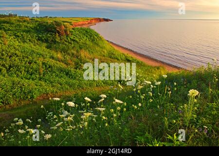 Canada, Prince Edward Island, Campbelton. Sabbia rossa e scogliere lungo lo stretto di Northumberland. Credit as: Mike Grandmaison / Jaynes Gallery / DanitaDelimo Foto Stock