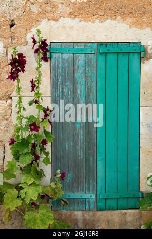 I fiori di Hollyhocks fioriscono nella regione della Provenza del sud della Francia. Foto Stock