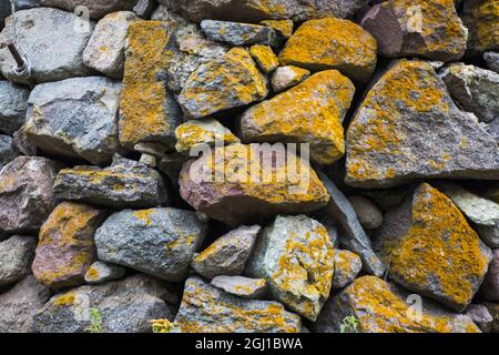 Vecchio muro di pietra, muschio e muffa sulla pietra Foto Stock