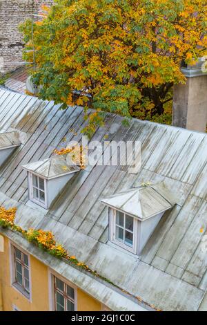 Stati baltici, Estonia, Tallinn. Tetti vicino alle mura della città. Foto Stock