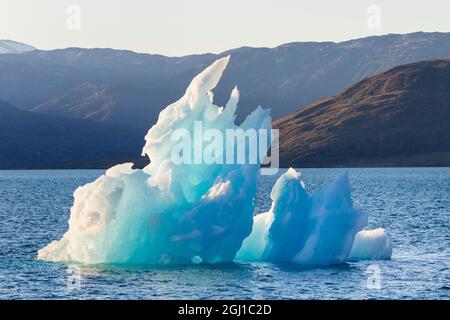 Iceberg alla deriva nel fiordi della Groenlandia meridionale. America, Nord America, Groenlandia, Danimarca Foto Stock