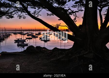 Stati Uniti, California, Monterey, Beachwater Cove Beach e Marina at Sunrise Foto Stock