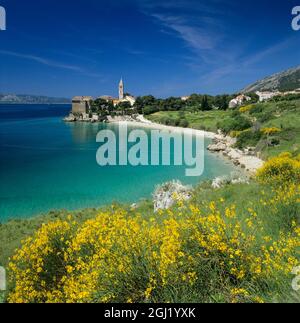 Monastero Domenicano con acqua turchese e fiori gialli di scopa, Bol, Isola di Brac, Dalmazia, Croazia Foto Stock