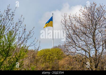Bandiera Ucraina che sventolava nel vento contro il cielo. Foto Stock