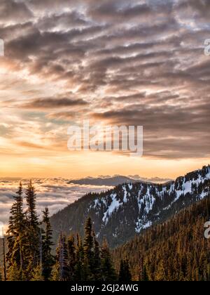 USA, Washington, Olympic National Park, vista a nord-est dalla strada per Hurricane Ridge Foto Stock