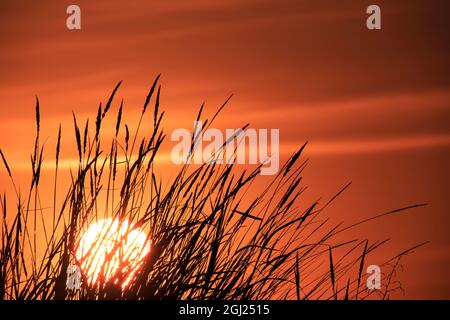 Contea di Walla Walla, WA, USA. Tramonto al Whitman Mission National Historic Site. Foto Stock