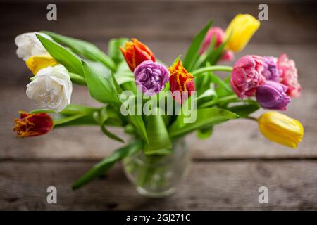 Vaso con mazzi multicolore di tulipani su un tavolo di legno. Tulipano con gocce di rugiada. Messa a fuoco selettiva. Sfondo primaverile. Tulipani con gocce di rugiada Foto Stock