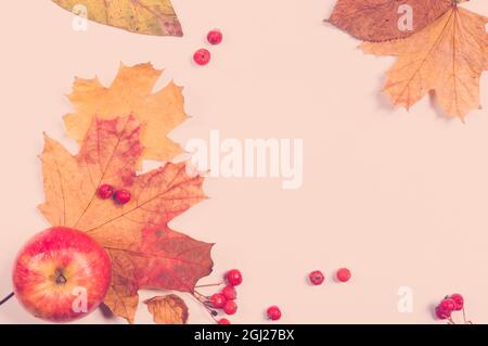 Composizione autunnale dell'arte - varie foglie secche, zucche, frutta, bacche di rowan su sfondo bianco. Autunno, autunno, Halloween, giorno di ringraziamento concetto Foto Stock