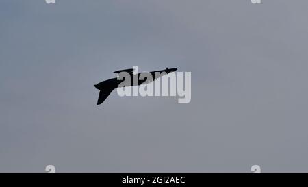 Maribor Airshow Slovenia AGOSTO, 15, 2021 Aero Vodochody L-159 ALCA Light Combat Aircraft e Advanced jet trainer Aircraft di Czech Air Force Foto Stock