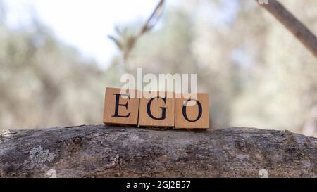 La parola ego è stata creata da cubi di legno. Preso fuori su un ramo di albero. Primo piano Foto Stock