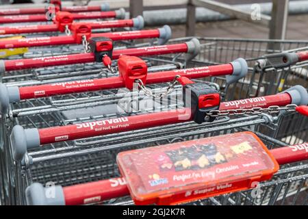 Fila di carrelli per supermercati irlandesi parcheggiati all'esterno di un supermercato in Irlanda. Foto Stock