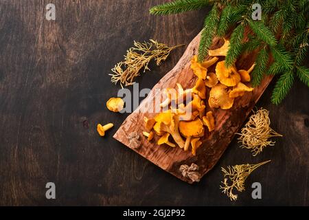 Foresta Mushrooms chanterelles e muschio foresta su un vecchio sfondo in legno. Crudo crudo non cotti in vaso di rattan su sfondo marrone texture. Mock up. Da a. Foto Stock