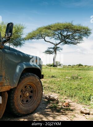 Parco Nazionale di Tarangire, Regione di Manyara in Tanzania. Safari fuoristrada grande veicolo sporco ruota anteriore con Lonely albero con bello grandangolo luminoso Foto Stock