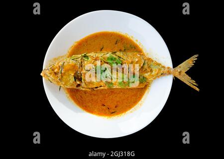 Sgombro in curry rosso essiccato (Thai Food Chu Chee Platoo) su piatto bianco. Foto Stock