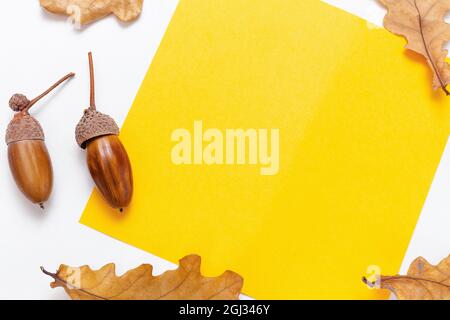 Cornice autunnale mockup da carta bianca. Cornice gialla per il testo. Ghiande e foglie di quercia dorate su sfondo bianco. Concetto di autunno o autunno. Autunno luminoso b Foto Stock