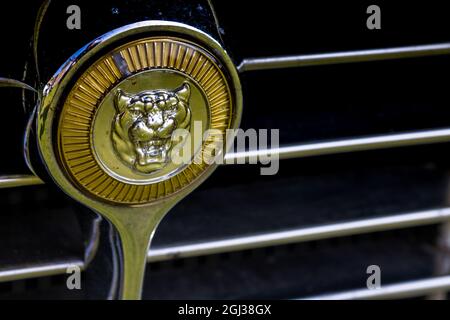 Logo del radiatore Jaguar e-Type Foto Stock
