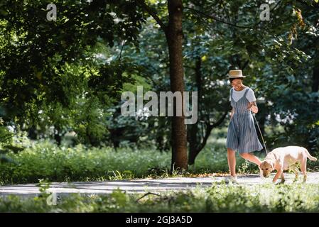 giovane donna asiatica in sundress e cappello di paglia passeggiando con labrador nel parco Foto Stock