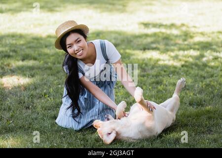 gioiosa donna asiatica che guarda la macchina fotografica mentre si diverte con labrador sul prato Foto Stock