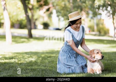 giovane donna asiatica che accarezza il labrador giallo sul prato del parco Foto Stock