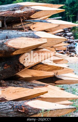 Fotografia di alcuni tronchi appuntiti di legno impilati e preparati per le chiusure di azienda agricola. La foto è scattata in formato verticale. Foto Stock