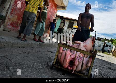 Un uomo cubano spinge un carro carico del corpo di un maiale morto destinato ad essere mangiato durante una celebrazione religiosa afro-cubana a Santiago de Cuba, Cuba, 3 agosto 2009. Foto Stock